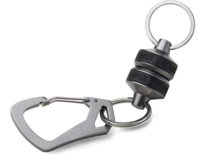 86736FA3 8453 4483 A784 B2C67D4D168A RCDMR