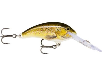 70C5DC27 CE69 4394 A52B 3962D833960E SDD TRL