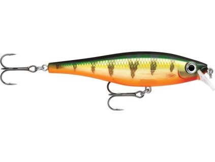 0D2A09E4 816A 4EA8 80C0 C5B3CB365457 BXM P