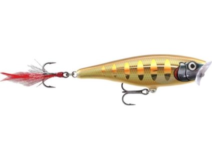 B71E0616 8423 41D0 B0C5 647AD9FD268F SP STGS