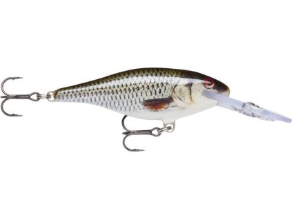 1CCE6F53 B110 49F5 ADFA 0B2D93FE6D67 SR ROL