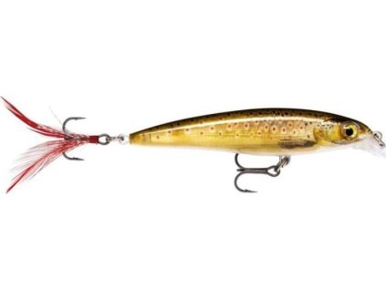 CBA48B06 D681 47B3 A283 424BFFF78E4E XR TRL