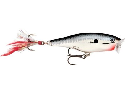 3E22F4AC 54C1 4BD9 9AB3 643BCA3B84CF SP05CH