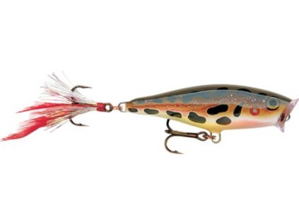 Skitter Pop Top Water Fresh 05