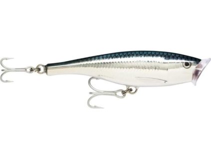 254D9309 84D4 4E33 B88D F60AE48E4790 SSP BFHL