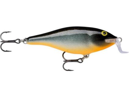 C1C32685 E2CA 40BF A81F 823017C7C4D6 SSR HLW