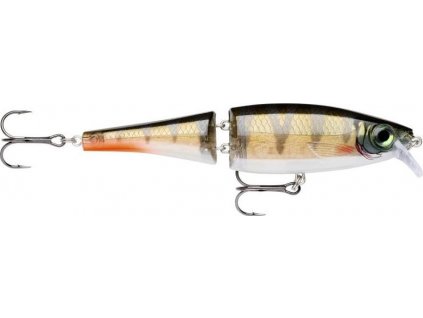 5B4A18DD 5FF6 4B5C A453 702CB1B48004 BXS12RFP