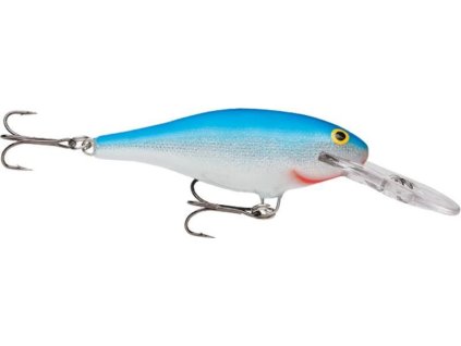 CBE4CB73 ECE1 4816 9E9B FDA552AB6804 SR09B