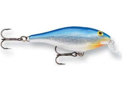 0D4CEB13 9A06 493B BB7C 088AF0202033 SSR09B