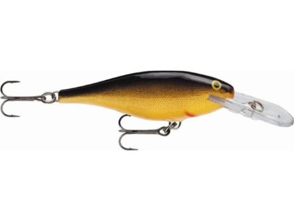 B2D8707E 8381 4B67 9900 8FB4258275F1 SR G