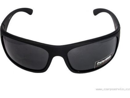 Brýle polarizační P3121-2