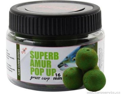 Amur - Superb Pop Ups - 40 g/16 mm