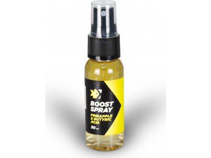 FEEDER EXPERT boost spray 30ml - Butyric Ananas