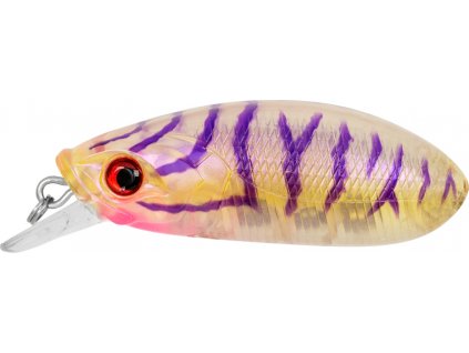 cgld000101 4799817779bc184a8dbb2d6691fb00d4