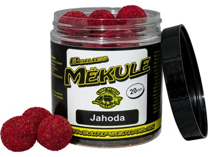 2gfg000101 7c206e7c4eee89ddc9f791fc71d04aa3