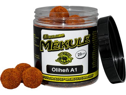 1gig000101 101ebd6b0199f6b382d62664830453b0