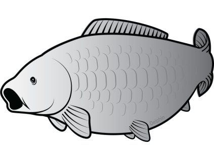 Nálepka kapr SILVER
