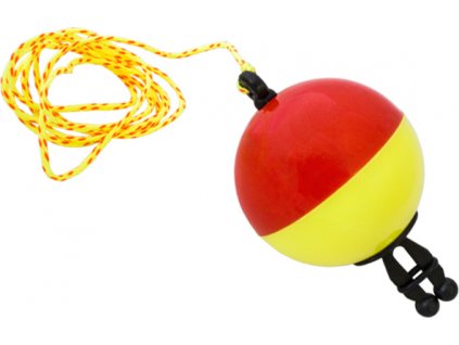 2it1000101 c0384c0b24559722a6e6ed098fd9ed46