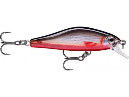 F312FE14 FD71 4A49 BE17 5ADB28F86C18 SDRSS RBS