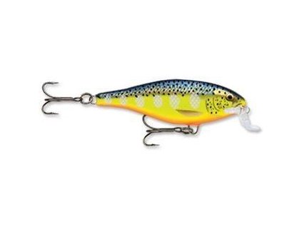 Shallow Shad Rap 09