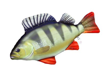 Okoun říční - 50 cm polštářek