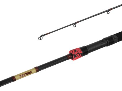 Delphin MURENA POWER 300cm/125g/2 díly