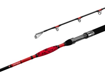 Delphin DANGER CatFISH 255cm/350g/2 díly