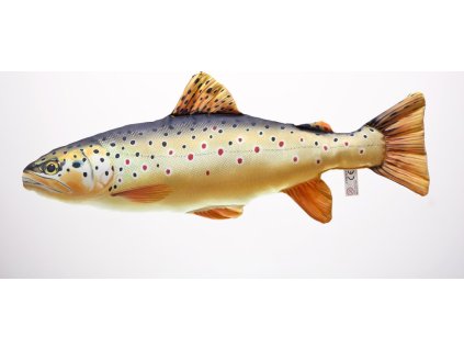 Pstruh potoční obecný - 62 cm polštářek