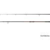 Delphin AMULET Carp 3.0m/2.5lbs/2 díly