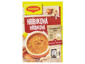 Maggi hríbiková 22g