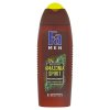 Fa Men Amazonia Spirit 250ml