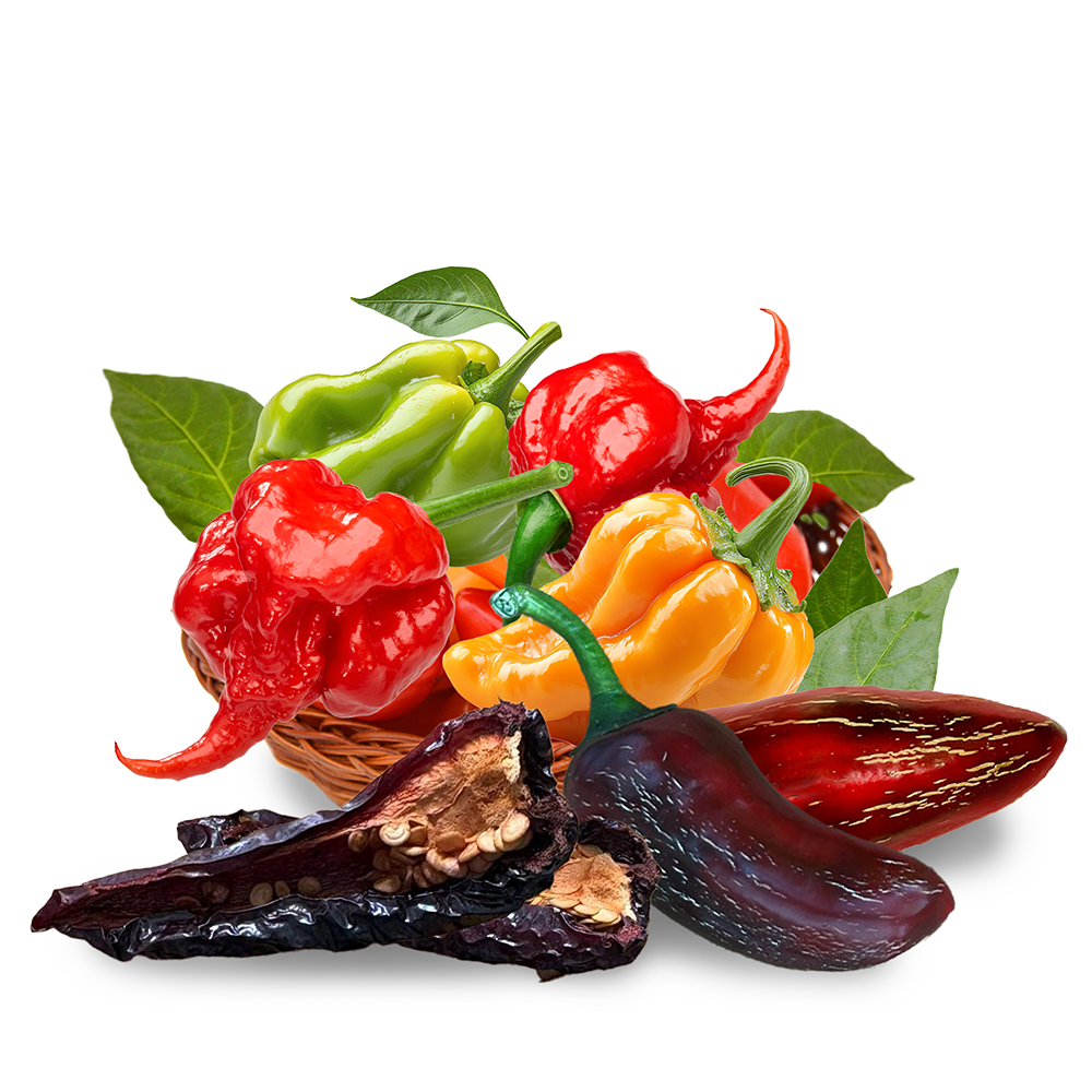 WEB_retina_1000x1000_Chilli