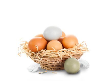 WEB retina 1000x1000 Vejce