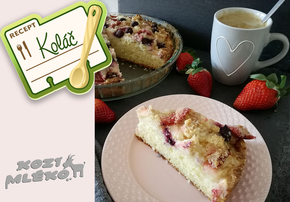 Ovocný koláč ze sušeného kozího mléka