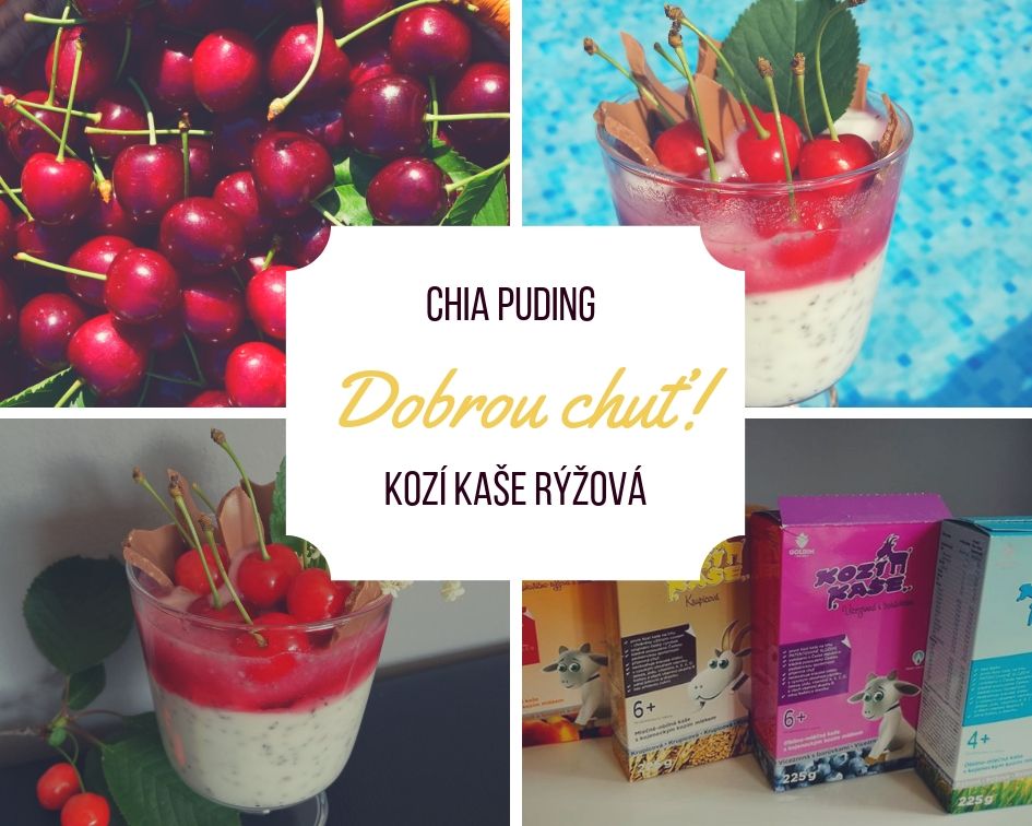 chia-dezert-puding-kolaz