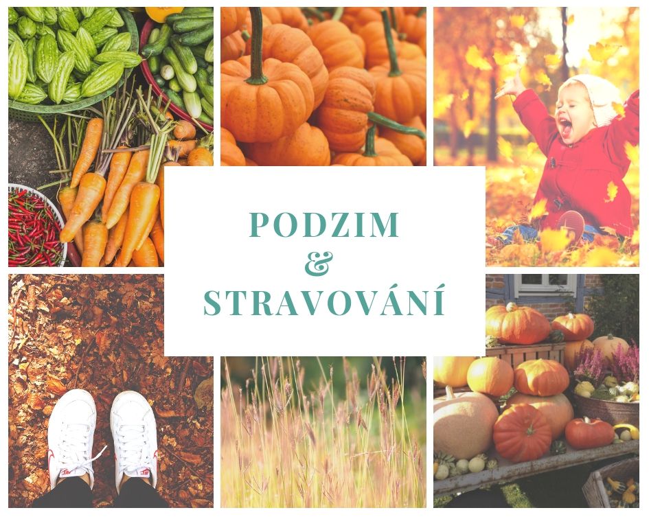 podzim-stravovani-kolaz