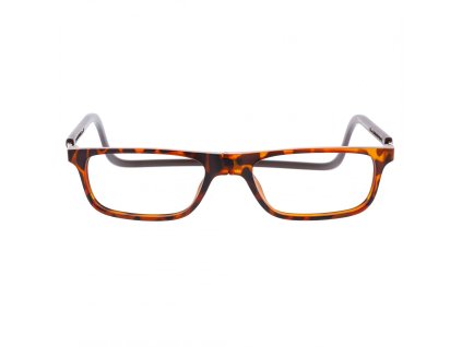 didinsky faraday square zelvovina 1