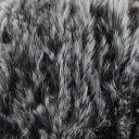 RABBIT_70548_VZOREK