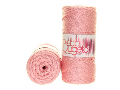 ECO BUGETO 79