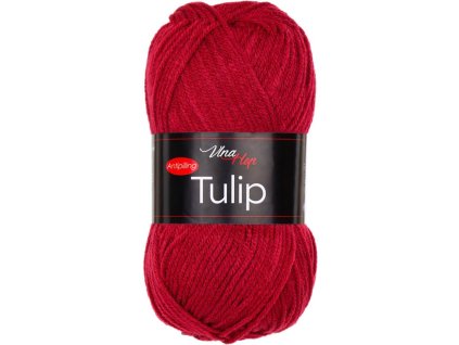 TULIP41158