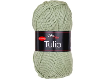 TULIP41307