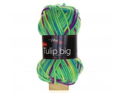 TULIP BIG COLOR 5602