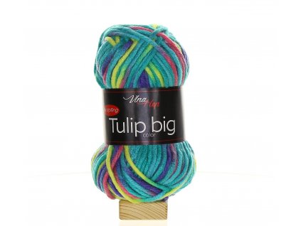 TULIP BIG COLOR 5605