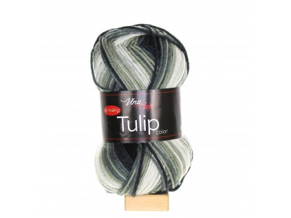 Tulip Color 5218