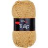 TULIP41037