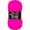 TULIP41102