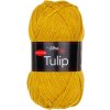 TULIP41179