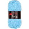 TULIP41241