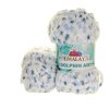 DOLPHIN ART 84205
