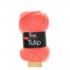 Tulip lososová 4013